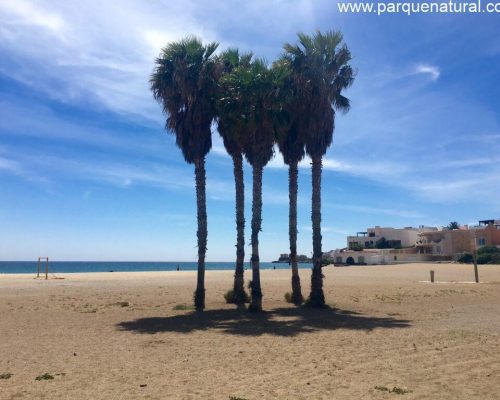 playa palmeras pueblo san jose cabo de gata almeria